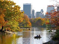 Central Park