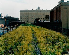 Abandoned tracks